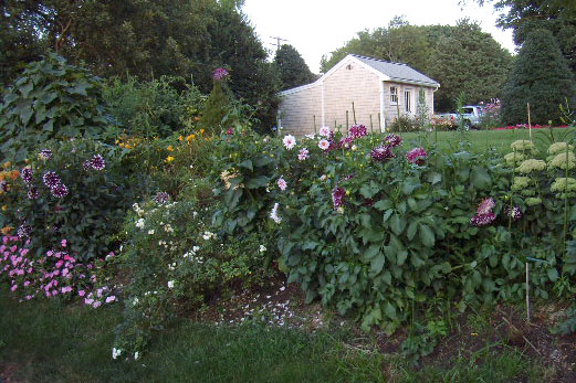 Flowers at Seaside Cottage
