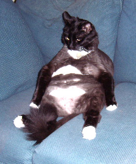 Tucker sits up